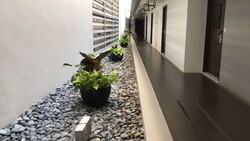 Lorong 41 Geylang (D14), Condominium #331666011